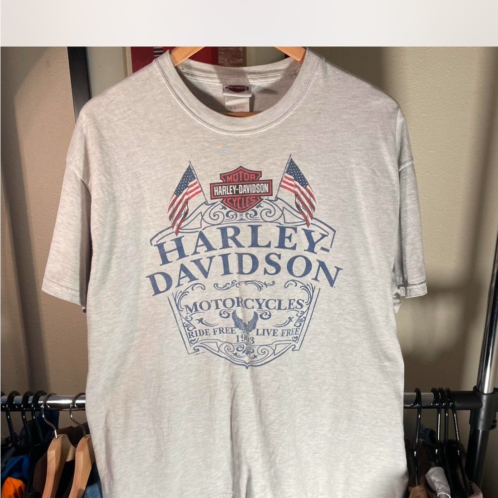Harley-Davidson Gray Short Sleeve Tee with Patriotic Graphic